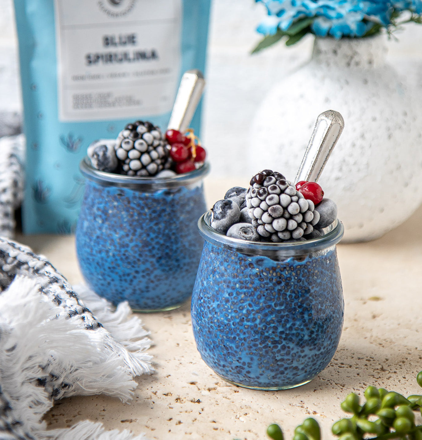 blue spirulina chia pudding